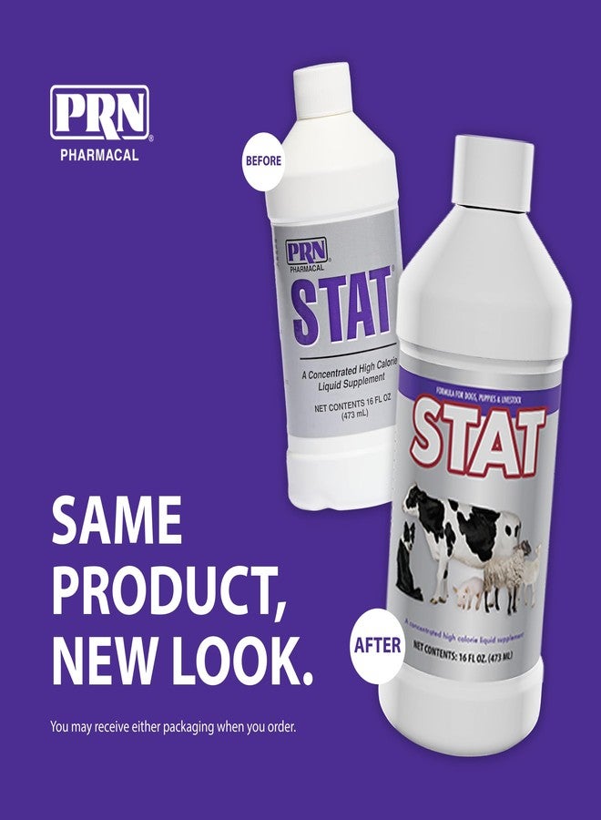 PRN Pharmacal STAT - High Calorie Nutritional Supplement to Help Restore Hydration & Nutrition Levels in Animals - Vanilla Flavored Dietary Support with Vitamin A, D3, C, E, & More - 16 Fl Oz - Image 3